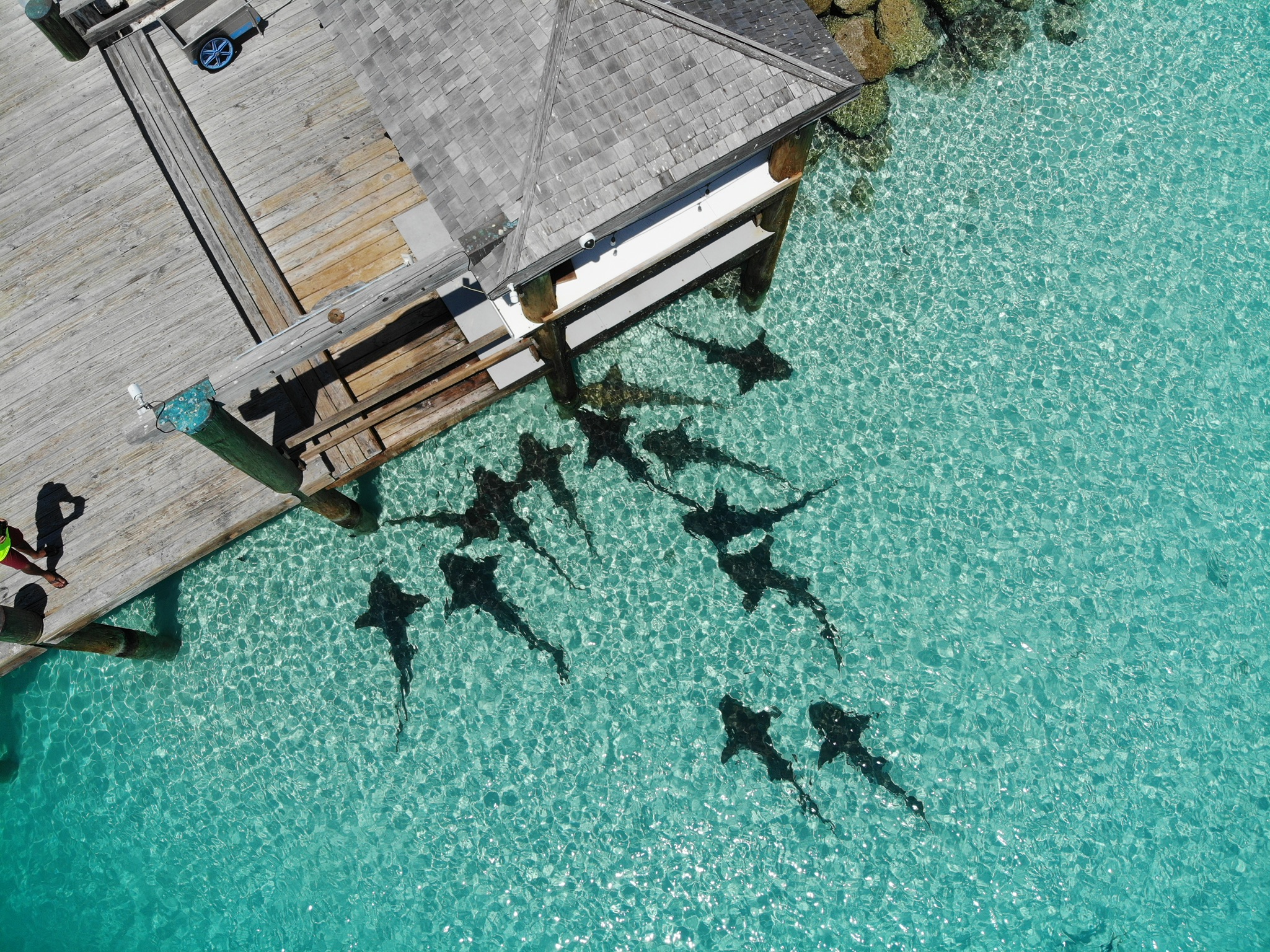 created by dji camera