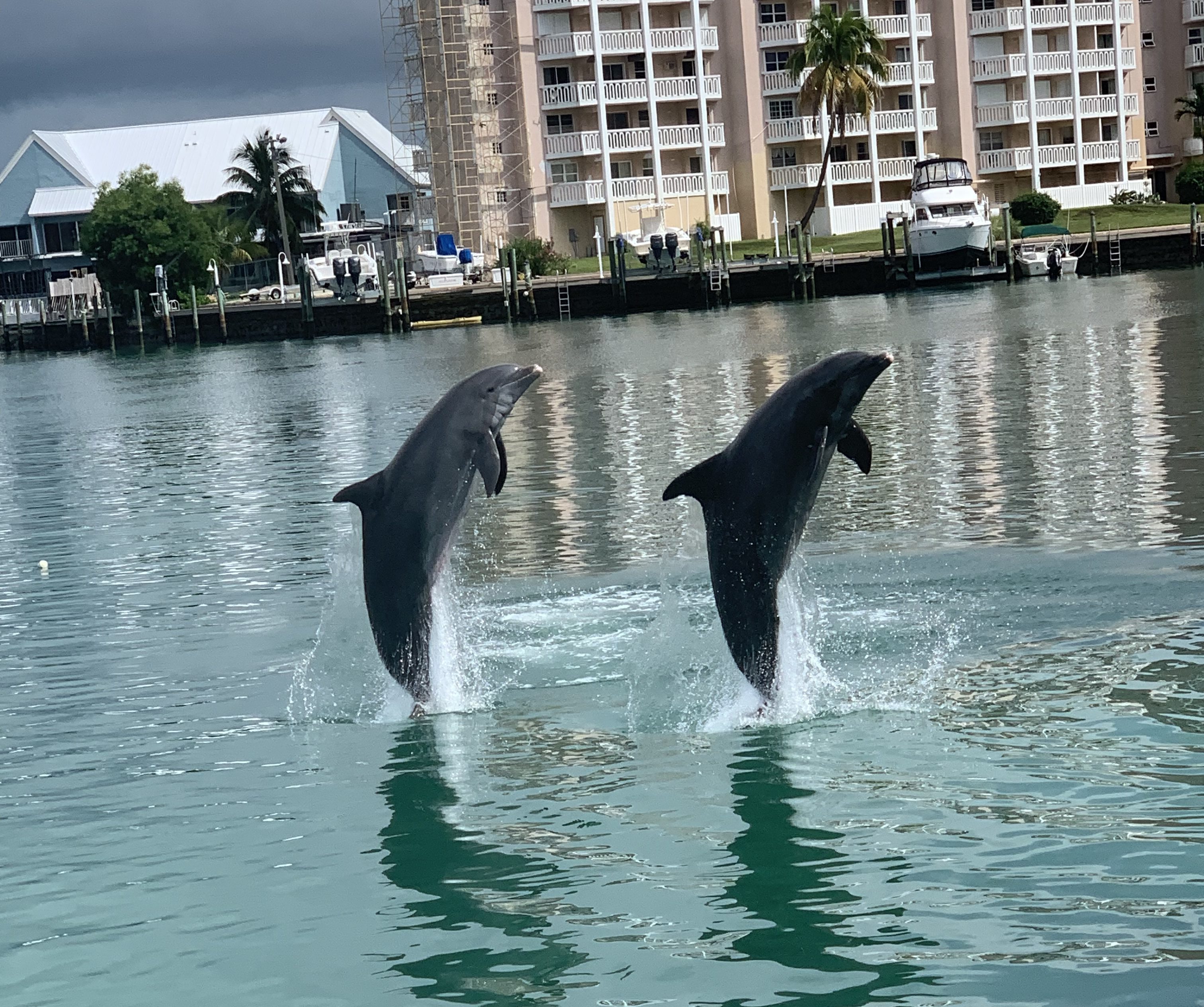 image00026